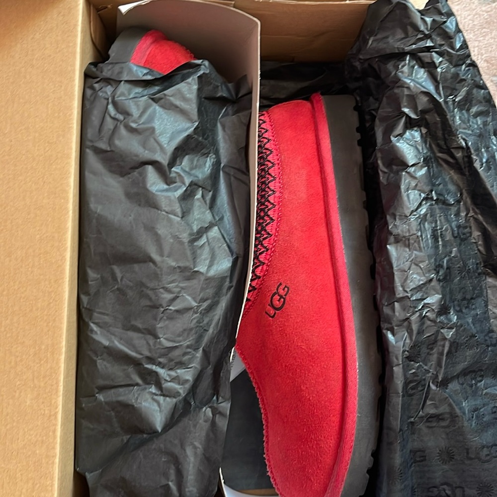 UGGs Tasman